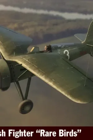 Aanbieding Ibg 1:72 Pzl P.11C Polish Fighter - Rare Birds - modelbouw