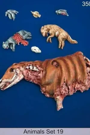 Meest Verkocht Mantis Miniatures 1:35 Animals Set 19 - modelbouw