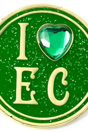 WICKED - I Love Emerald City - Pin's Pinnen Koop Vandaag