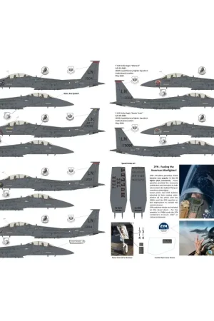 McDonnell F-15E Eagle Black Panther Drone Killers Decal Dagaanbieding