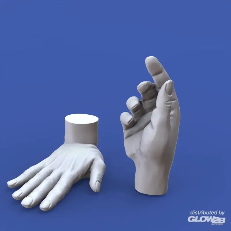 Direct Verzonden Assorted hands set No. 5