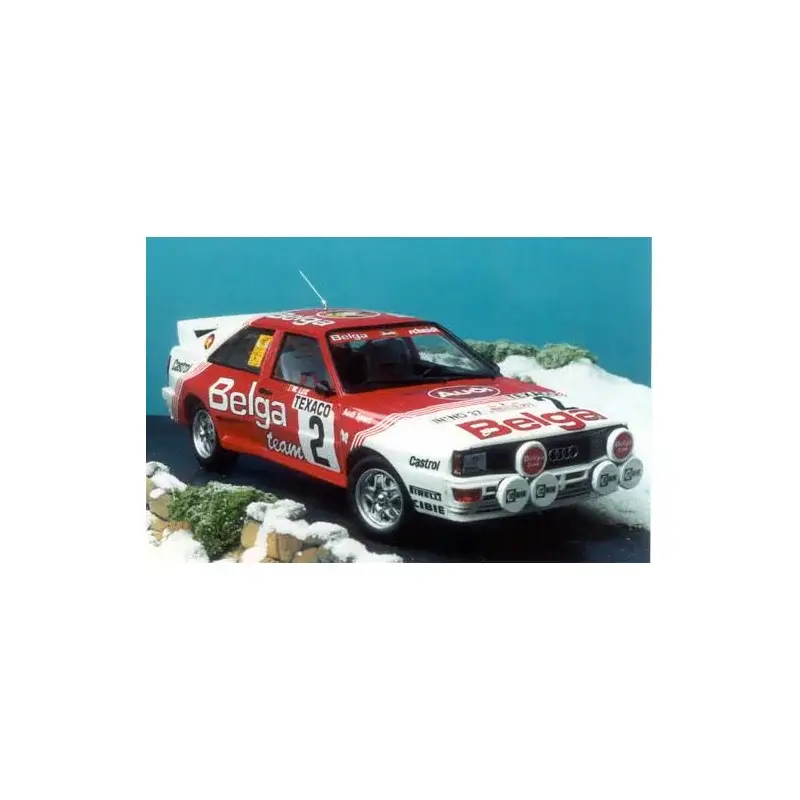 Alleen Vandaag Audi quattro spa 1983 duez belga body resin parts Miniatuur