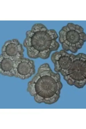 Koop Vandaag painted shell/bomb craters