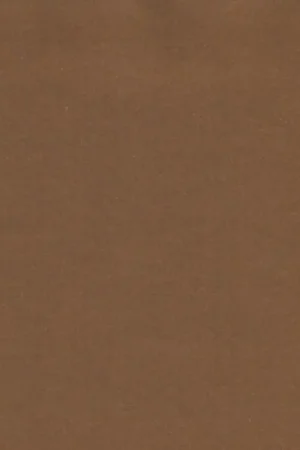 Exclusieve Aanbieding Sticker Copper (trimfilm) if you cannot see the colour that you want and trimfilm can be painted