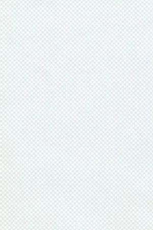 Sticker 1/16 White Checks Decal Laatste Versie