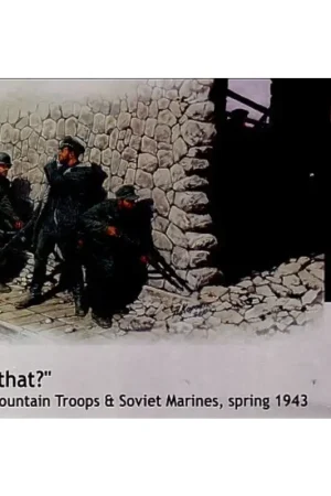 Whos that? German Mountain Troops & Soviet Marines spring 1943 Figuren Direct Verzonden