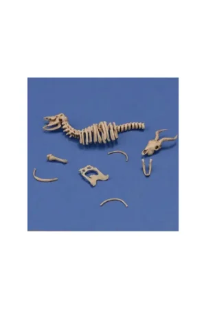 Gratis Retour Antelope skeleton (1:35)