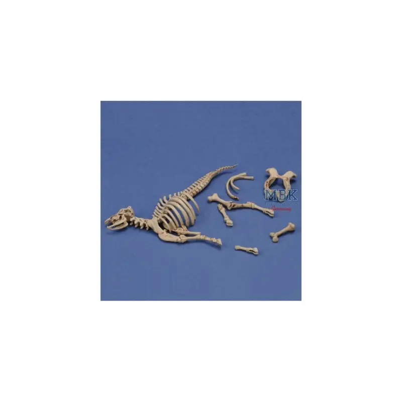 Koop Vandaag Cow skeleton n.3 (1:35)