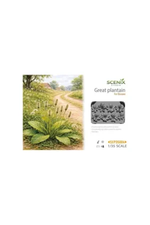 Hete Deal Great Plantain / Wegerich