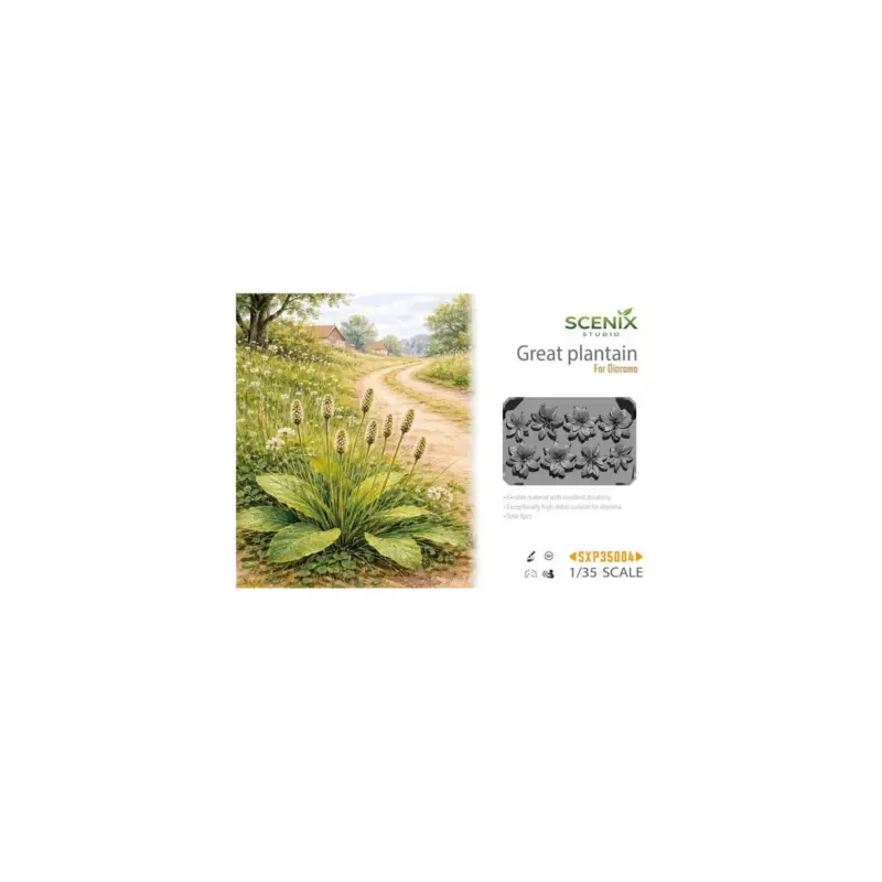 Hete Deal Great Plantain / Wegerich
