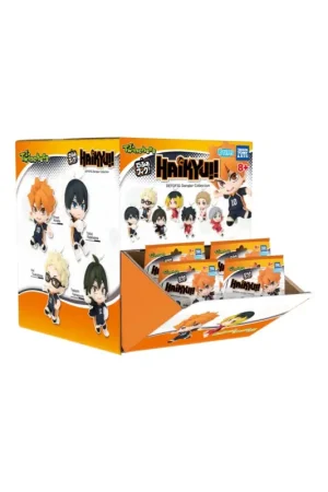 Twinchees Haikyu!! Defofig! Keychains W6 Asst 24pcs Exclusieve Aanbieding
