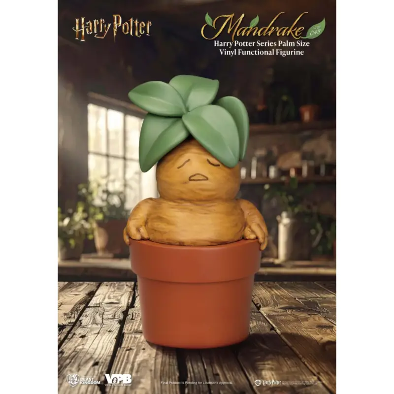 Betaalbaar HARRY POTTER - Mandrake - Vinyl Figure Money Box 13.6cm Figuurtje