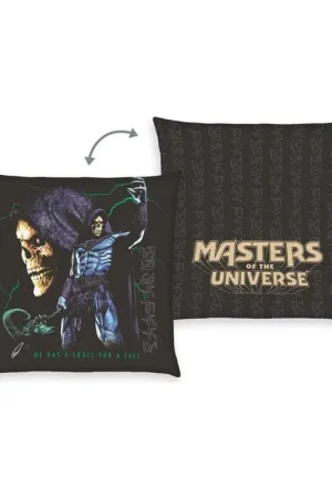 Masters of the Universe Decorative Cushion 40 x 40 cm Koopje