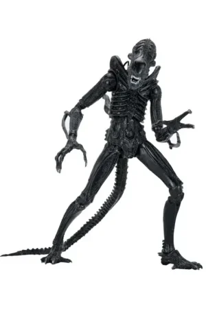 Populair Aliens Ultimate Figure Warrior (1986) Xenomorph Black (40th Anniversary) 23 cm Figuurtje