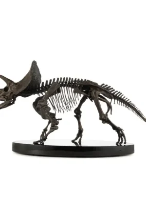 Nieuw Jurassic World ECC Elite Creature Line statuette 1/12 Triceratops Fossil Skeleton Bronze 33 cm