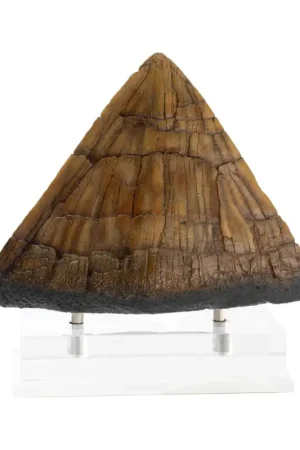 Koop Vandaag Jurassic Park statuette Triceratops Spike Prop (Reproduction) 19 cm