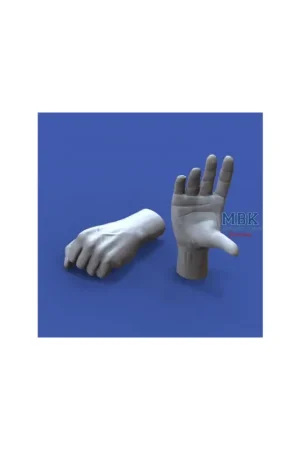 Assorted Hands Set No. 2 (1:16) Betrouwbaar