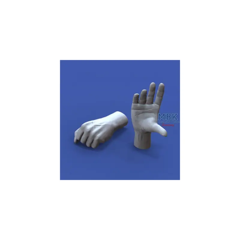 Assorted Hands Set No. 2 (1:16) Betrouwbaar