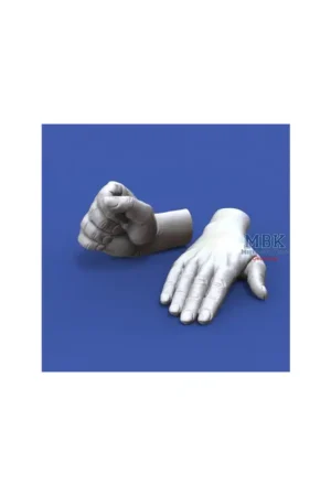 Alleen Vandaag Assorted Hands Set No. 1 (1:16)