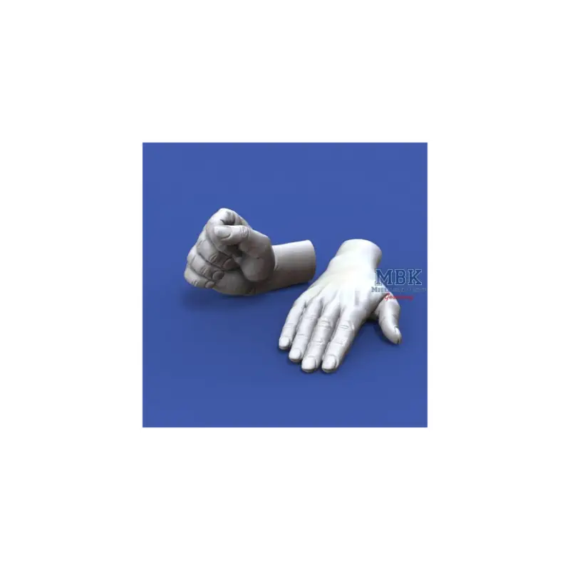 Alleen Vandaag Assorted Hands Set No. 1 (1:16)