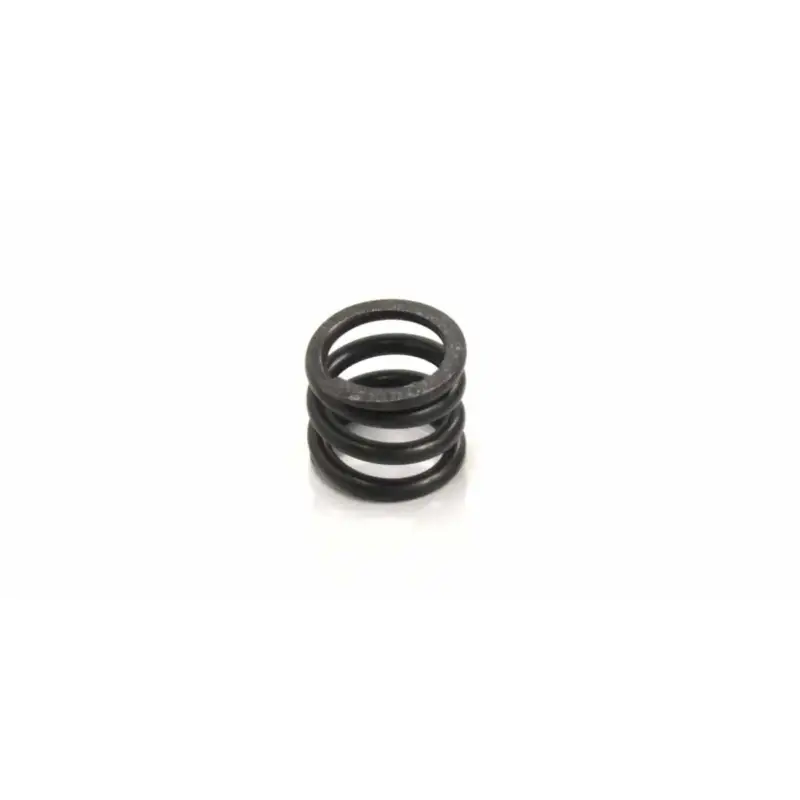 Clutch spring 3-D Clutch Evo2 Kyosho V-One R4 (D1.8) Populair