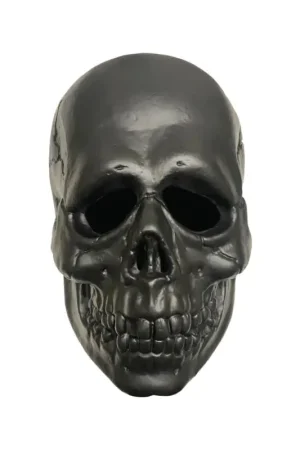 Alleen Vandaag Don Post Black Skull Vinyl Mask