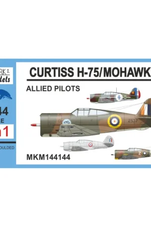 Finale Uitverkoop Curtiss H-75A/Mohawk IV 'Allied Pilots'