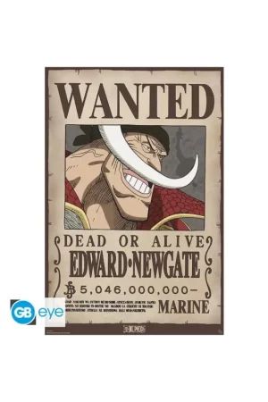 Veilige Betaling ONE PIECE - Wanted Whitebeard - Poster 91x61cm