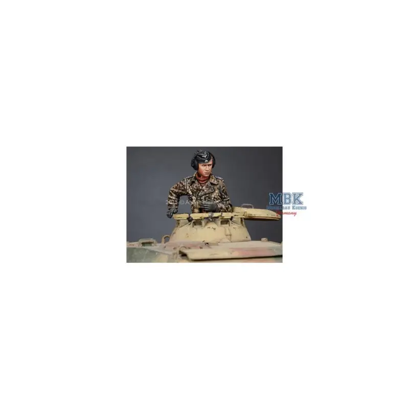 WSS Panzer Commander 2 Figuren Koop Online