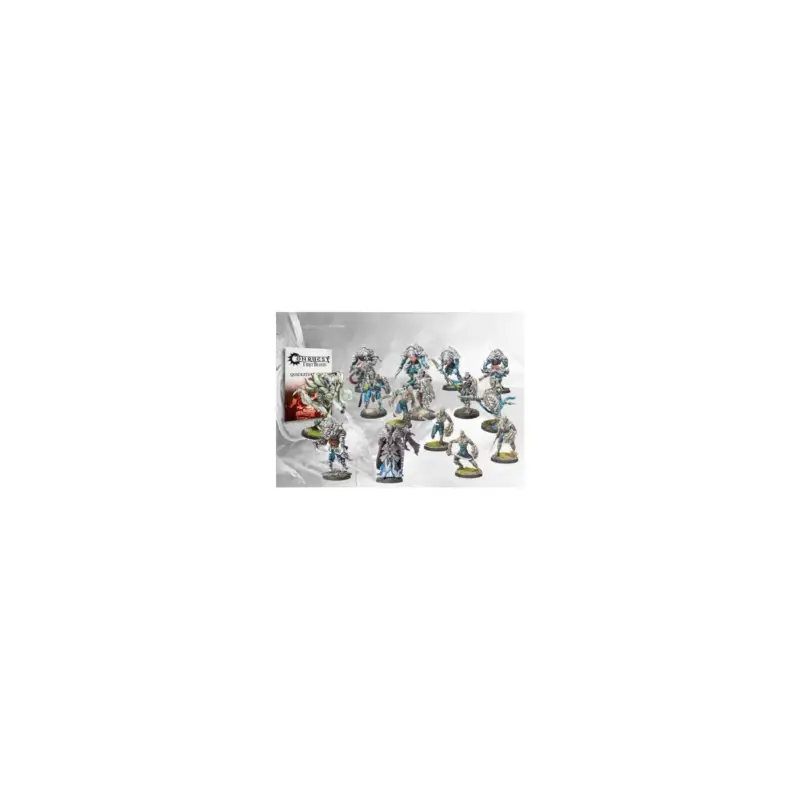 Conquest - Spires - First Blood Warband 2024 Edition Figuurtje Snelle Levering