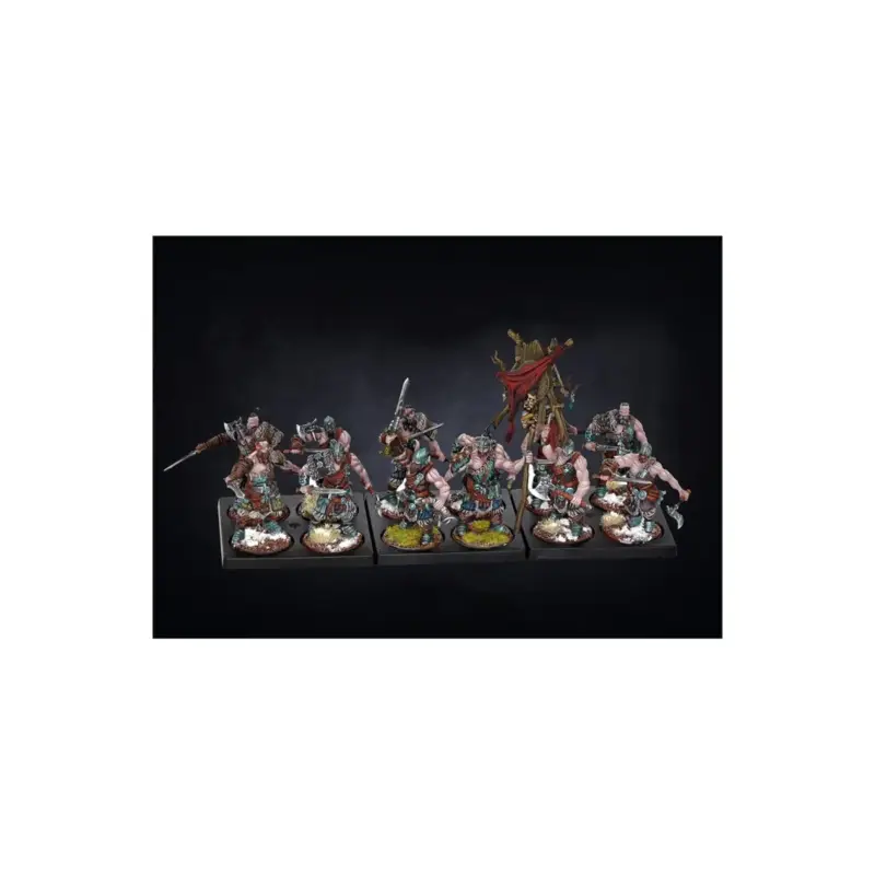 Meest Verkocht Conquest - Nords - Raiders Figuurtje