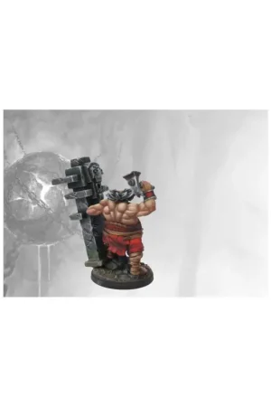 Dagaanbieding Conquest - Dweghom - Mnemancer Apprentice (Officer) Figuurtje