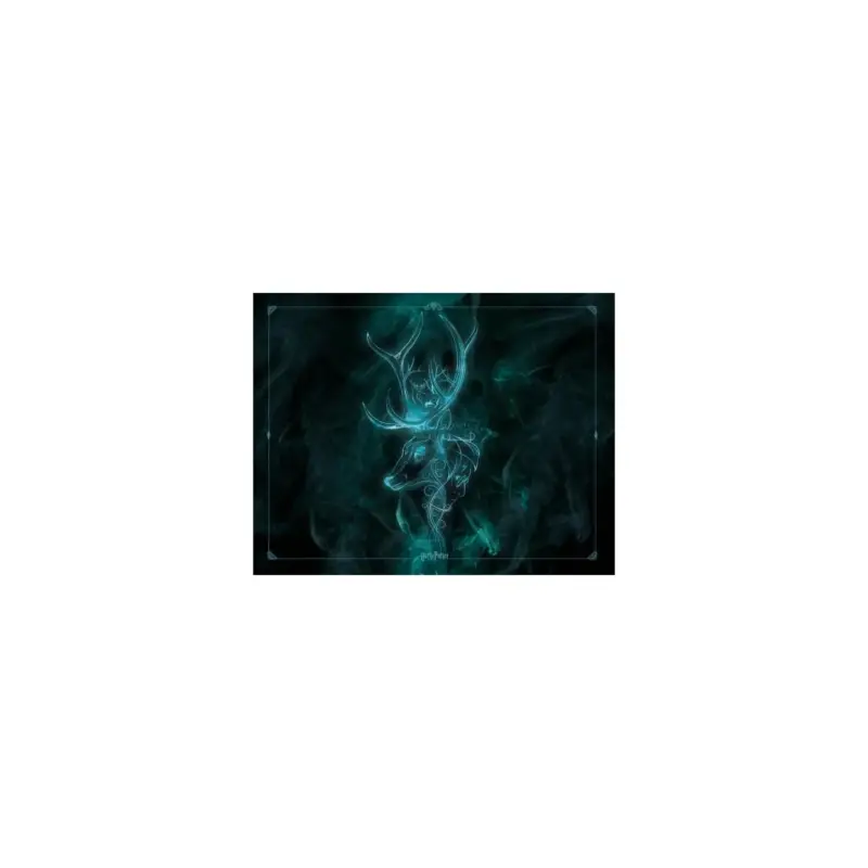 Nu Kopen Neoprene Play Mat 90*70 cm - Harry Potter Patronus