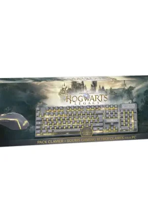 Lage Kosten Harry Potter-Hogwarts Legacy Backlit gamingtoetsenbord+muispakket (PS4-compatibel)