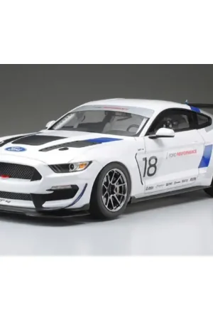 Laatste Kans Ford Mustang GT4 Schaalmodel