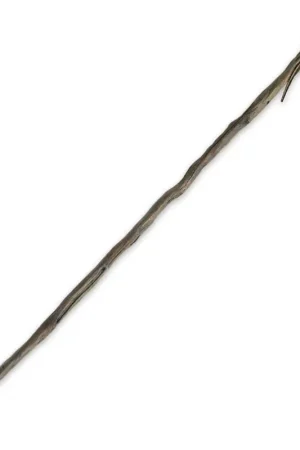 The Hobbit: Staff of Gandalf the Gray Koop Online