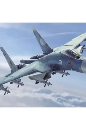 Direct Beschikbaar Sukhoi Su-33 Sea Flanker D Schaalmodel