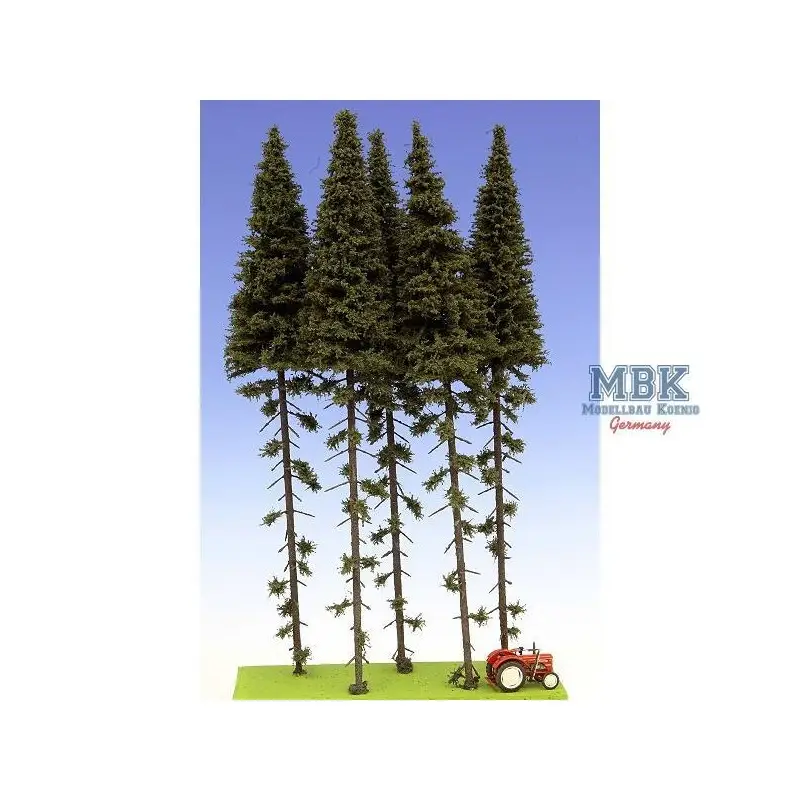 Fichten / Spruce w/ Trunk 28-32 cm Hochstamm 5x Voordeelprijs