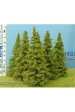 Bestseller Lärche / Larch 9-11 cm 6x