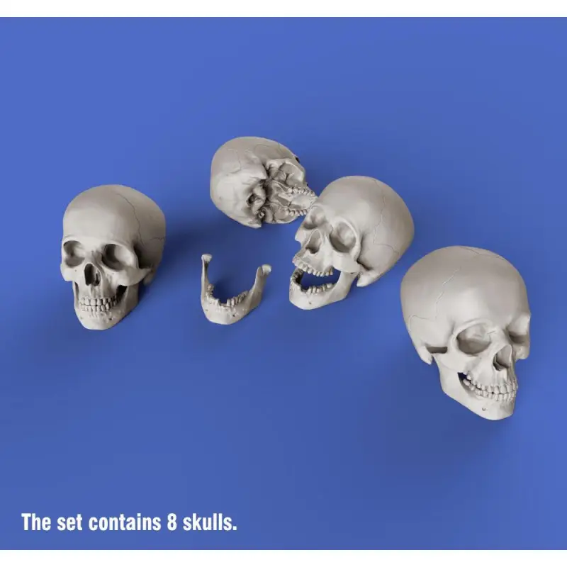 Royal Model: 1/35; Skulls Bestel Nu