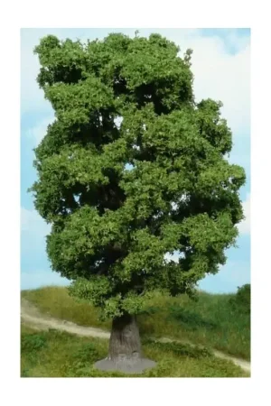 Eiken 18cm Bestel Nu
