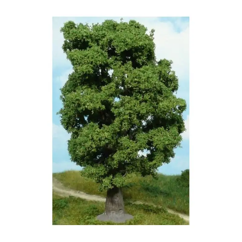 Eiken 18cm Bestel Nu