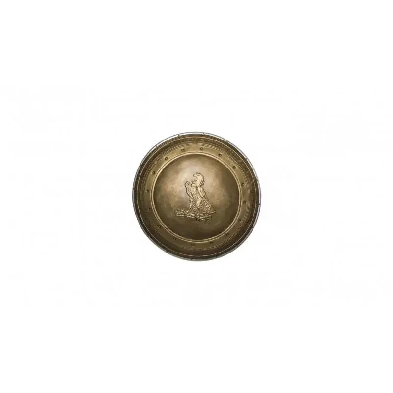 Wonder Woman volwassen schild met een diameter van 60 cm Kostuum Bestseller