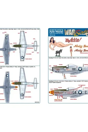 Dagaanbieding Sticker Noord-Amerikaanse P-51D Mustang 44-73623 'My Achin, (Ass) Decal
