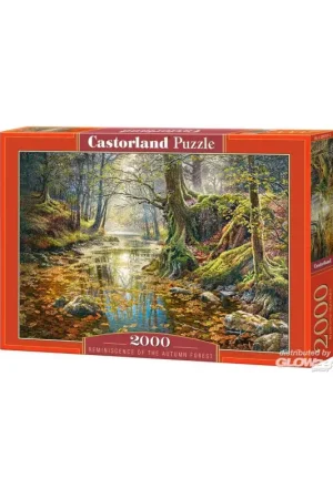 Puzzel REMINISCENCE OF THE AUTUMN FOREST Speciale Aanbieding