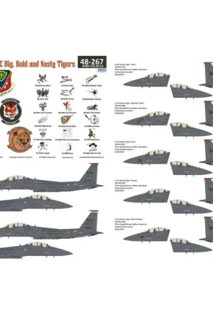 Bestseller Sticker McDonnell F-15E Strike Eagle Nose kunst van de Tigers of Mountain Home AFB Decal