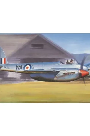 De havilland hornet f.1 Schaalmodel Koop Online