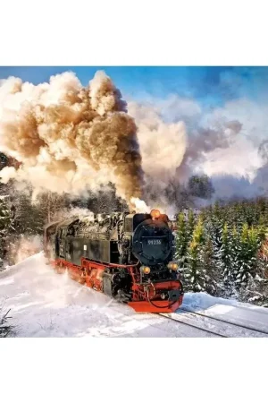 Premium Stoomtrein, puzzel 1000 stuks