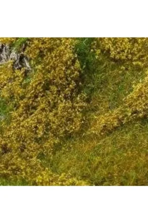Lichtgroen veldgebladerte Koopje
