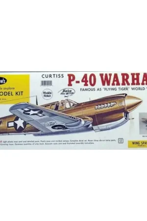 P-40 warhawk RC vliegtuig Finale Uitverkoop